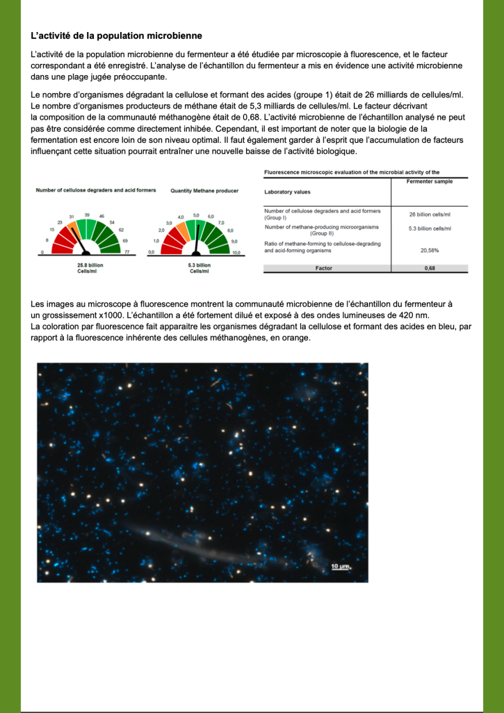 Étude de cas 4 — OPTIMAX CO + HYDROZYM / Site 500 kWél